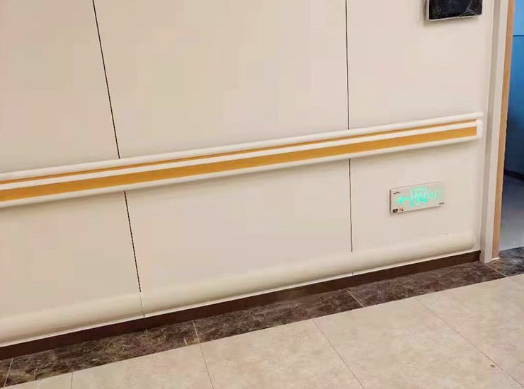 Custom Accessible Handrail