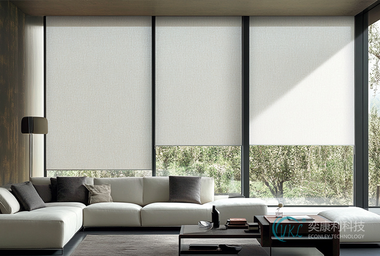 European American Medical Roller Project: Case Insights